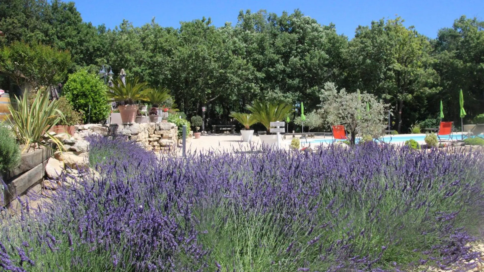 Le Gite Du Hameau Fleur De Pierres Gordes France